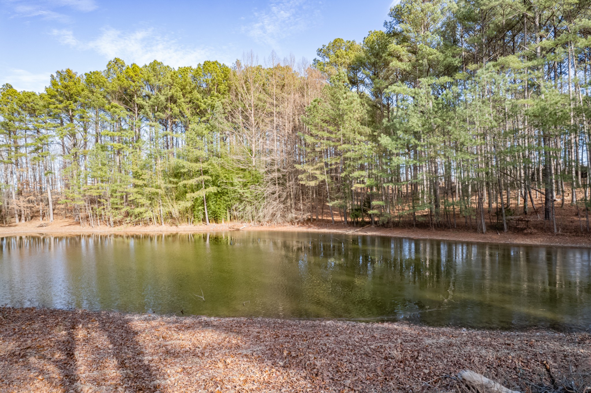 0 Beard Road Primm Springs, TN 38476 - Photo 23 of 35