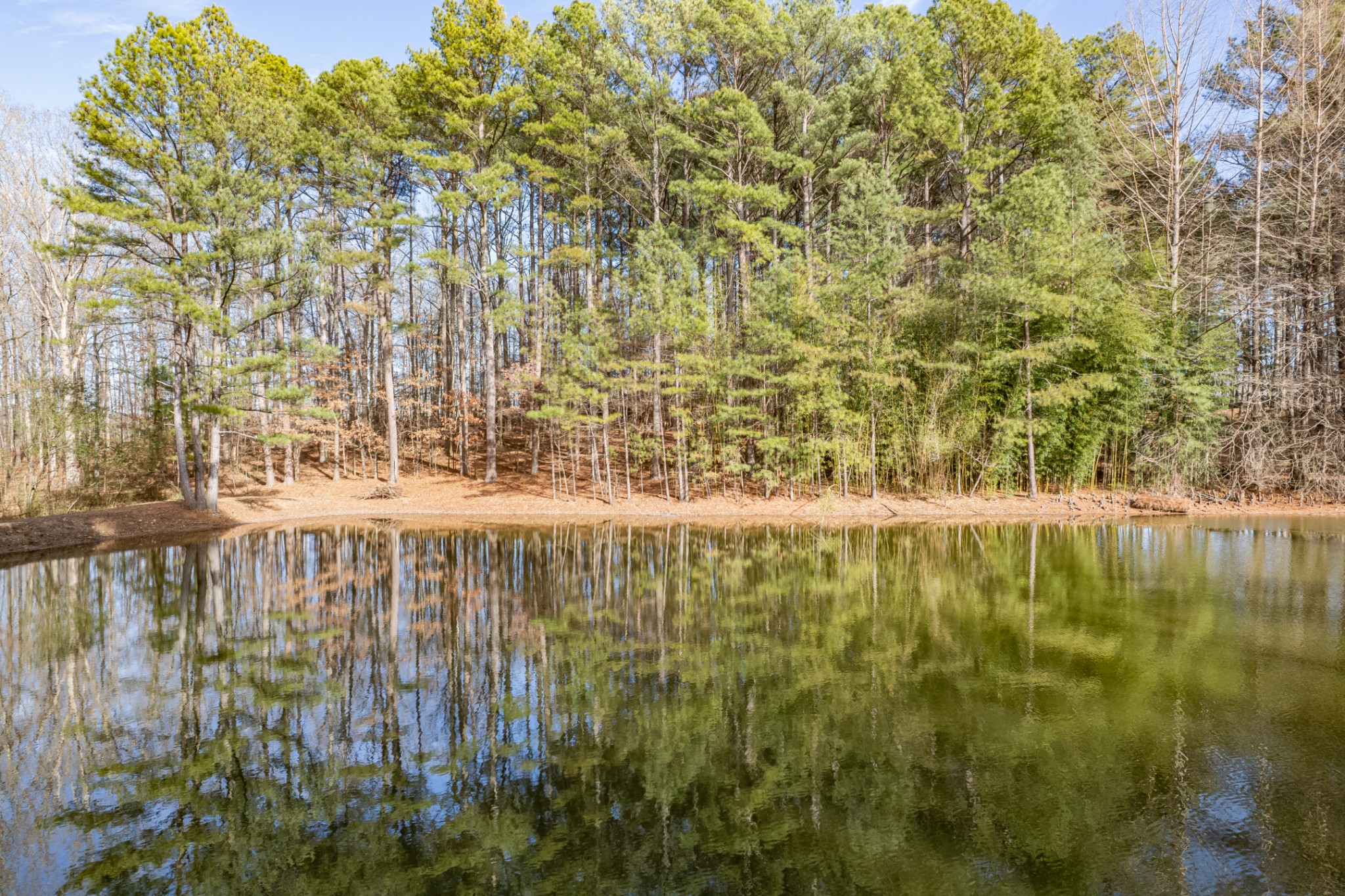 0 Beard Road Primm Springs, TN 38476 - Photo 24 of 35 a view of swimming pool with an outdoor space and seating area