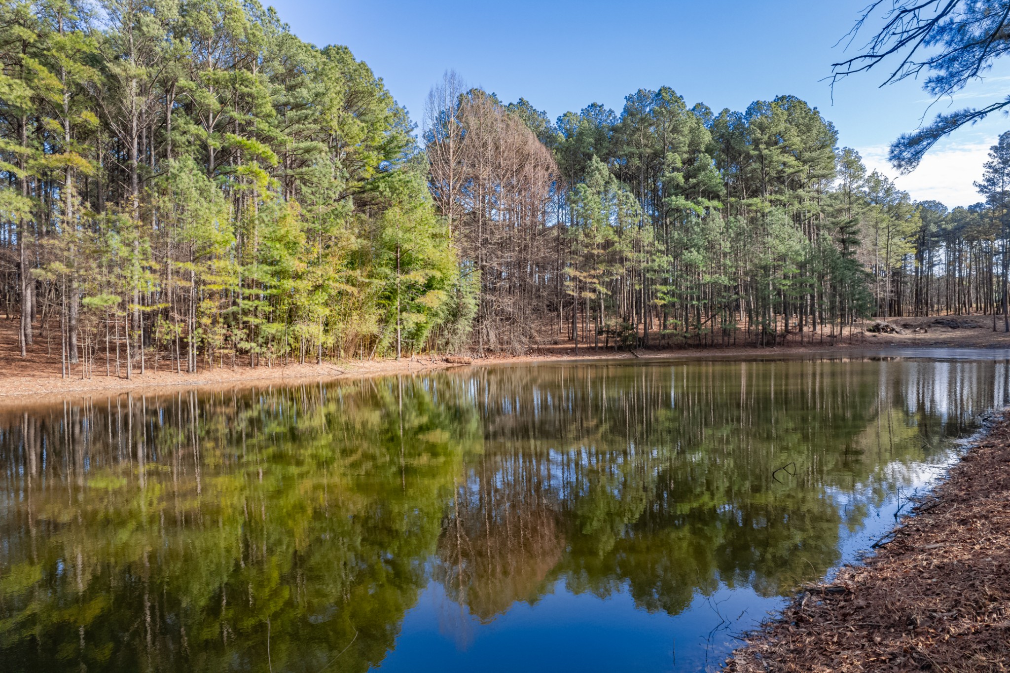 0 Beard Road Primm Springs, TN 38476 - Photo 25 of 35 a view of lake with a yard