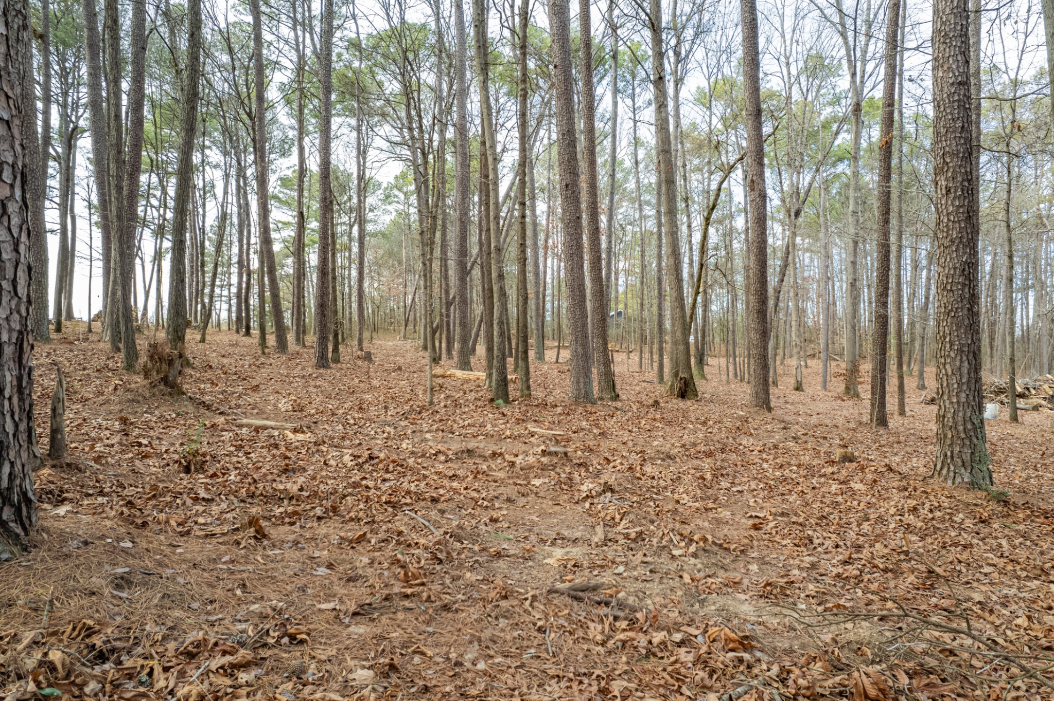 0 Beard Road Primm Springs, TN 38476 - Photo 34 of 35