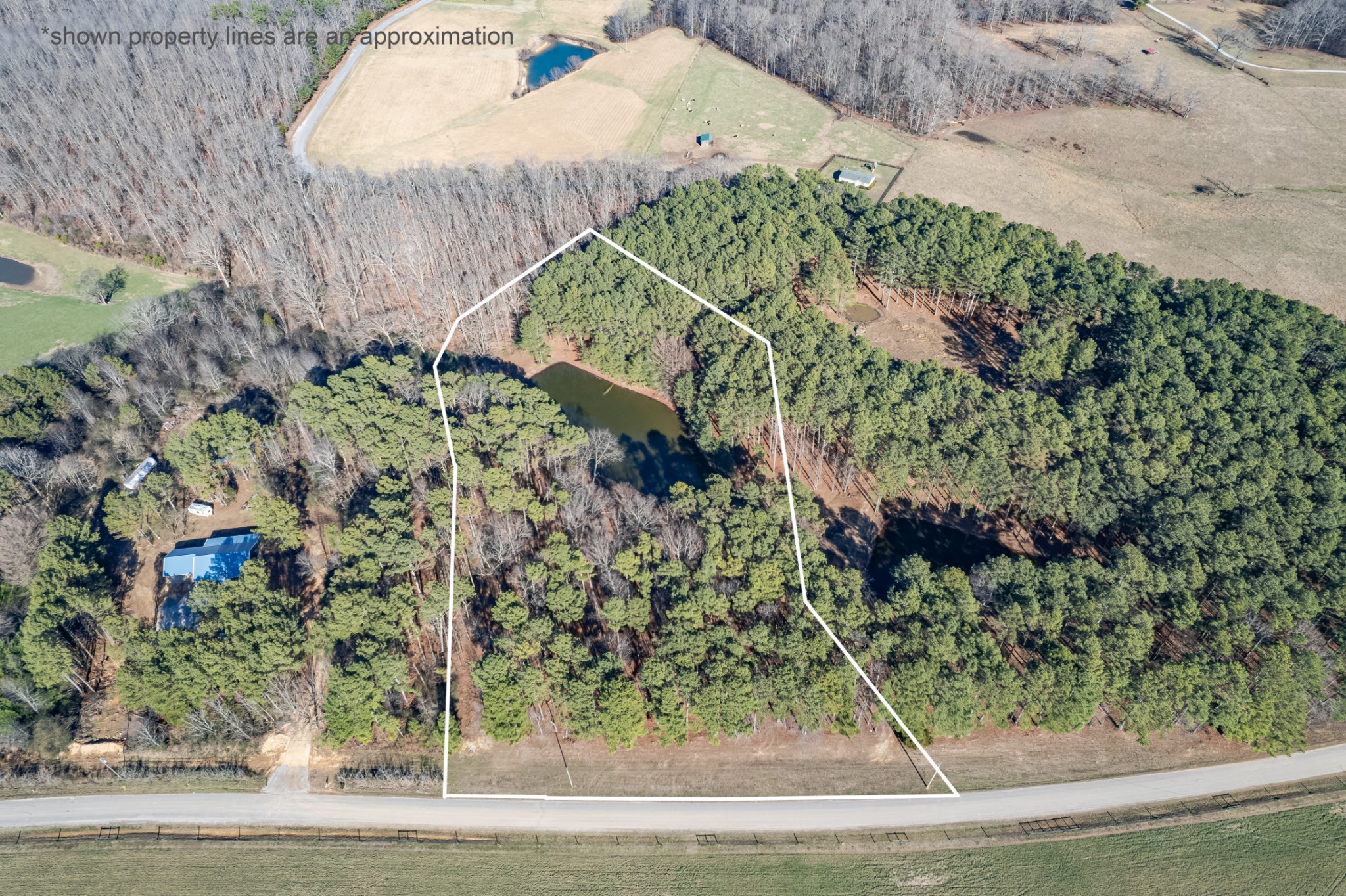0 Beard Road Primm Springs, TN 38476 - Photo 4 of 35 a view of a garden with plants