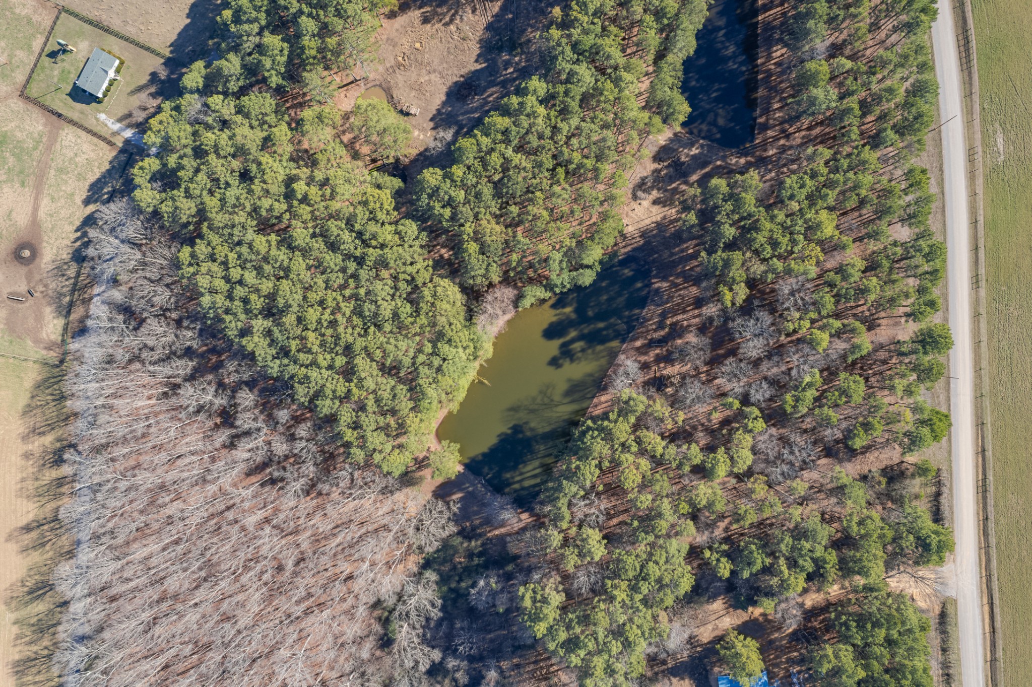 0 Beard Road Primm Springs, TN 38476 - Photo 5 of 35 a plant that is in a yard