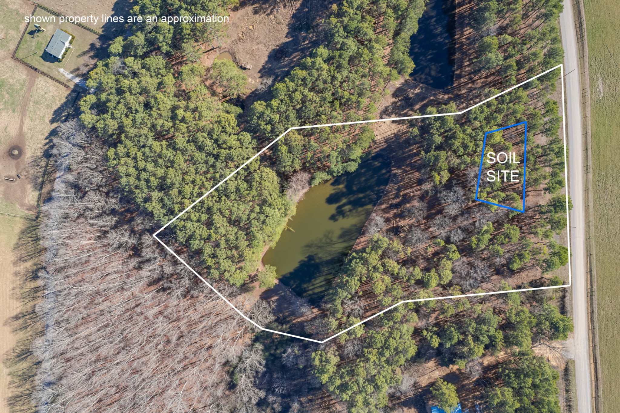 0 Beard Road Primm Springs, TN 38476 - Photo 6 of 35 a view of a yard with wooden floor