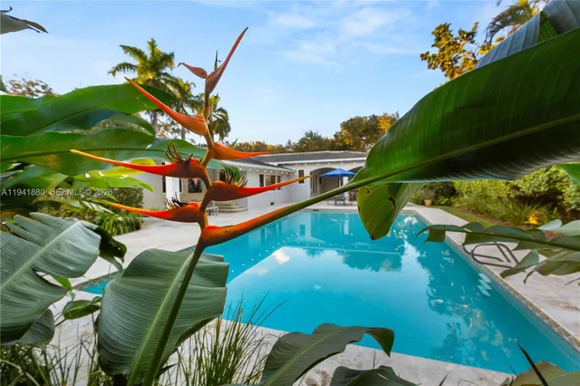 a view of banana tree