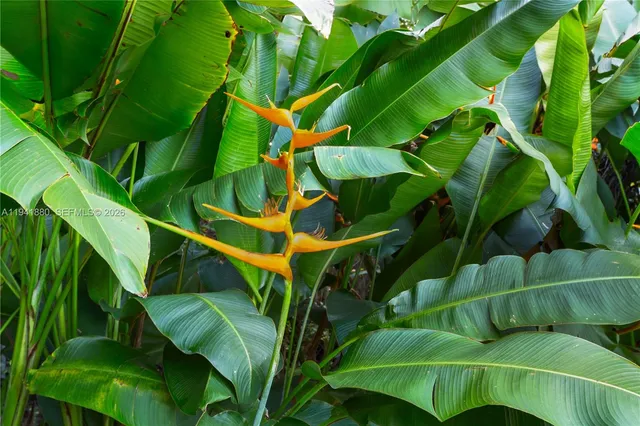 a view of outdoor space with trees all around