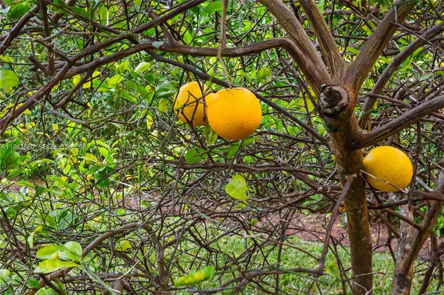 $3,498,000 | 1901 Country Club Prado, Coral Gables, FL 33134