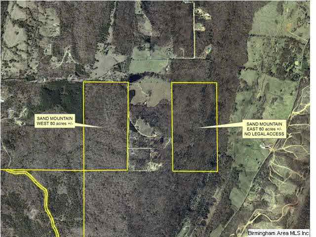 0 Powell Road, Unit 80 AC Remlap, AL 35133 - Photo 5 of 5