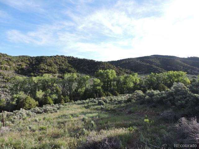 7473 Mallott Road Fort Garland, CO 81133 - Photo 6 of 25 Gallery Image 6
