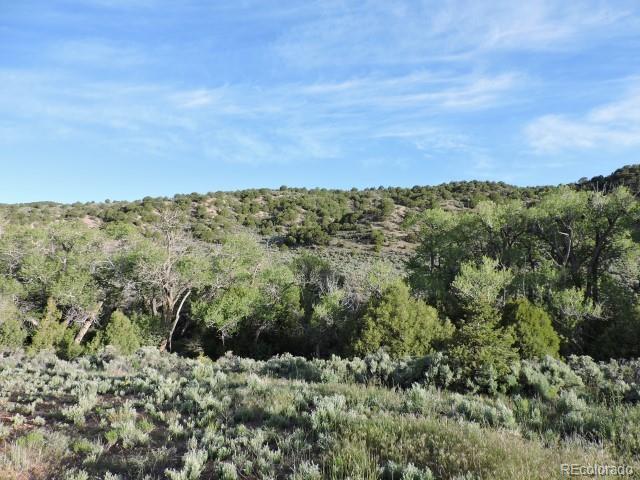 7473 Mallott Road Fort Garland, CO 81133 - Photo 8 of 25 Gallery Image 8