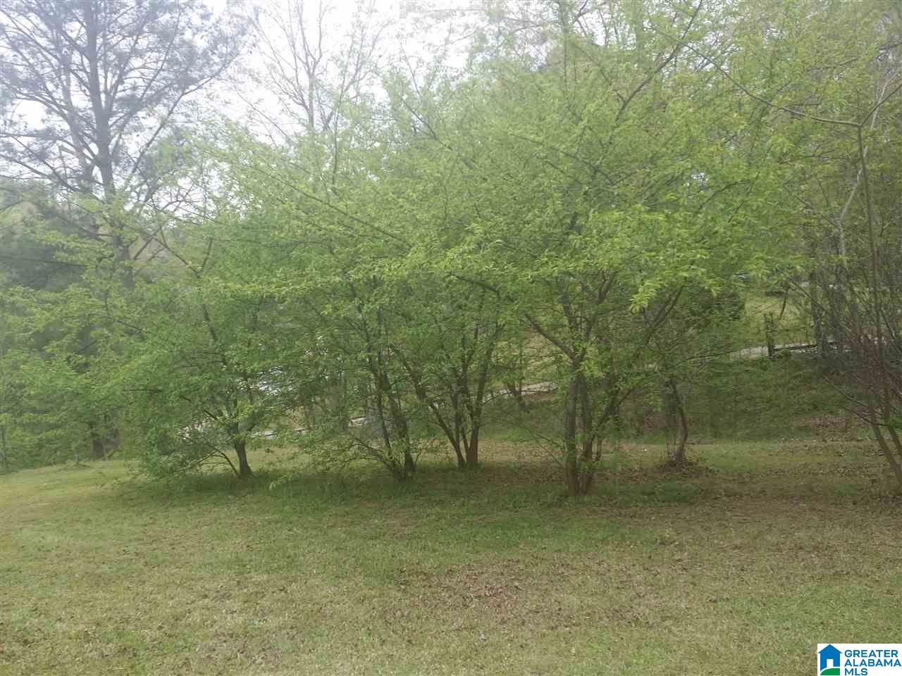 9091 Manley Vines Camp Road Bessemer, AL 35023 - Photo 14 of 15