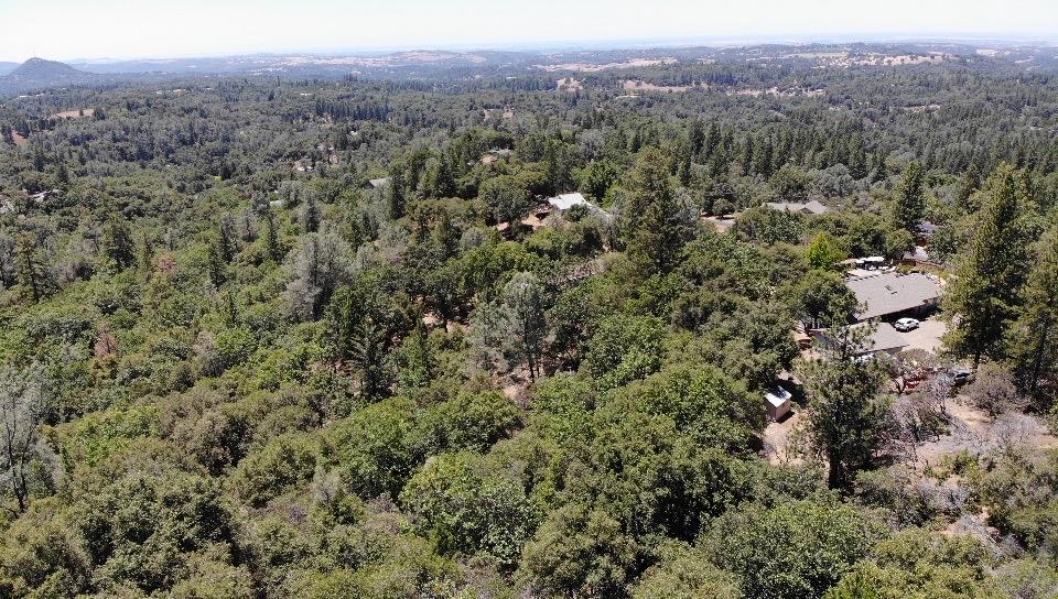 0 Bowman Road Pine Grove, CA 95665 - Photo 26 of 30