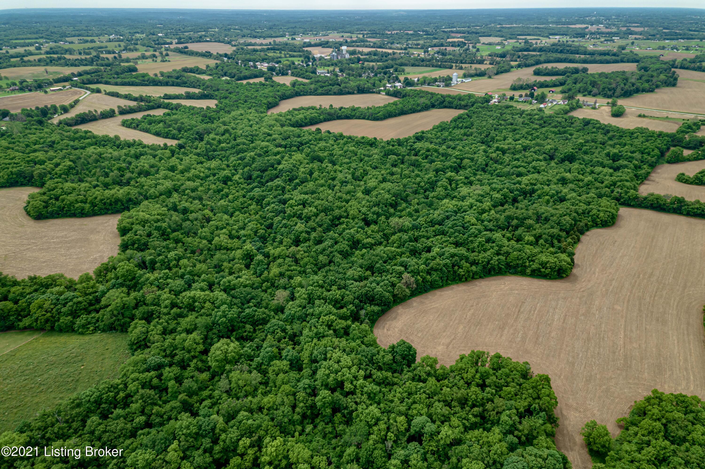 3900 Bagdad Road Bagdad, KY 40003 - Photo 27 of 36 DJI_0937