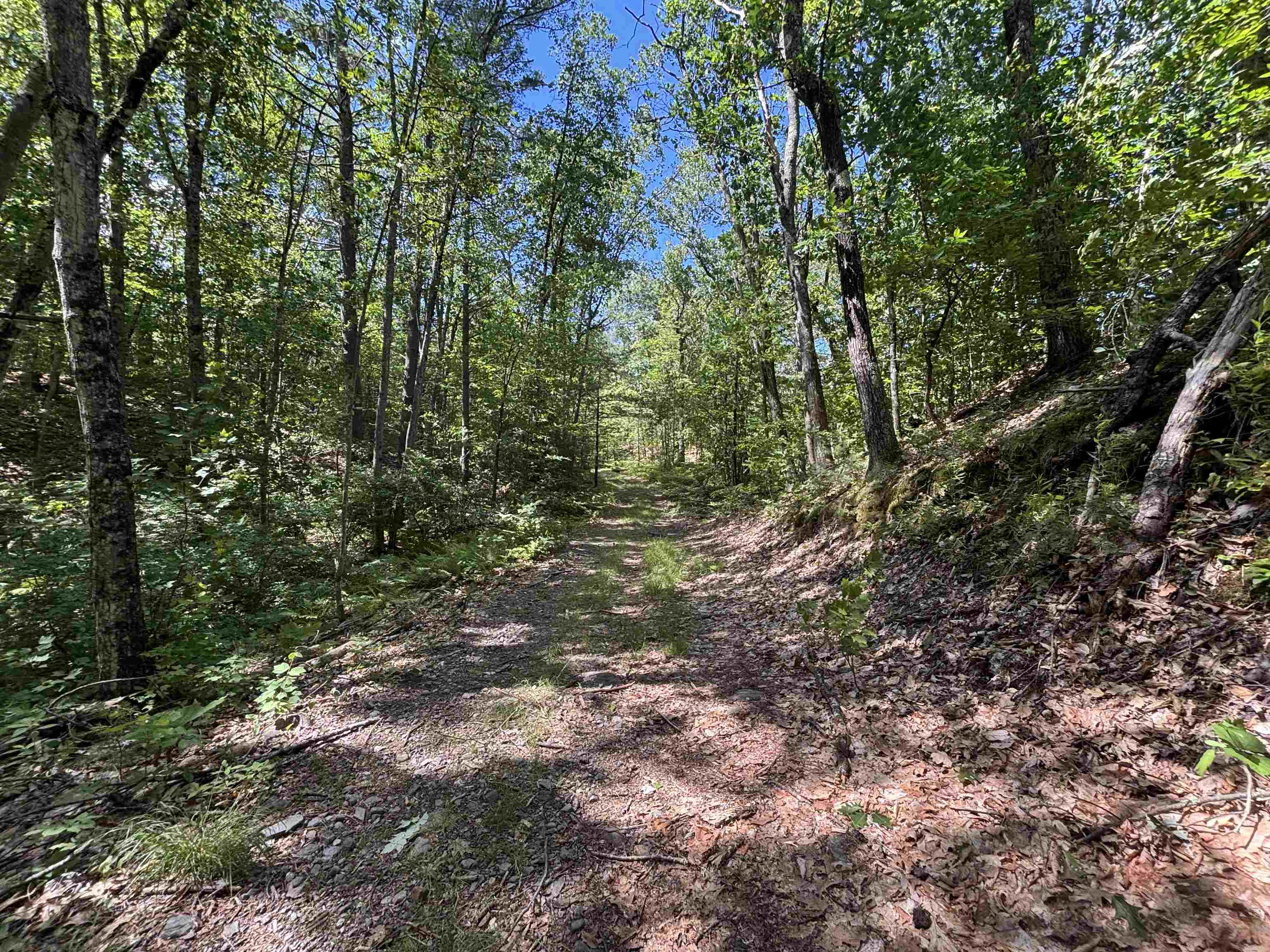 0 Windfall Road Northfield, NH 03276 - Photo 10 of 10