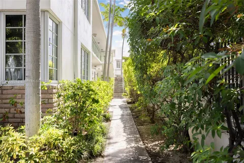 a view of a pathway with plants and large trees