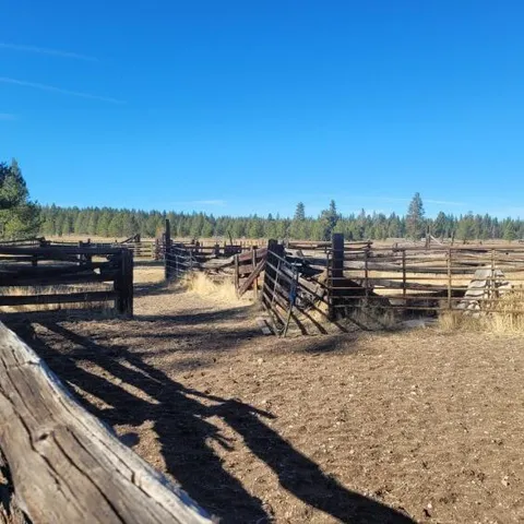 a view of outdoor space with trees