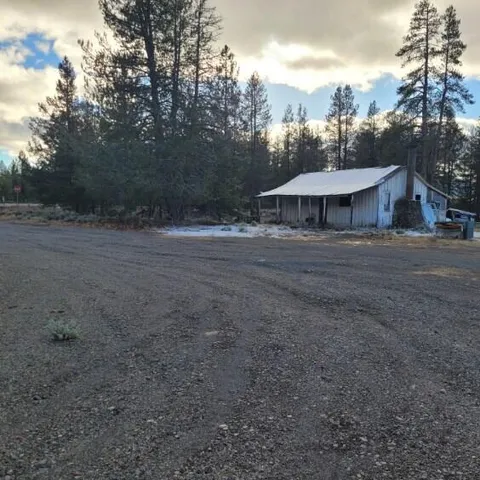 a view of a yard with large tree