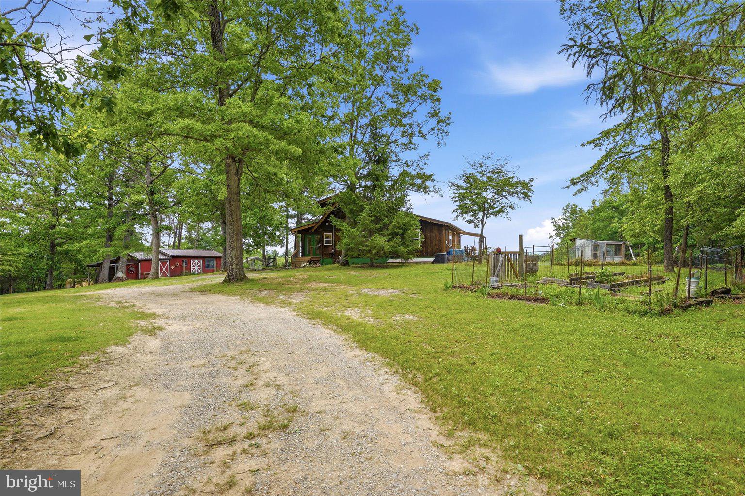 14636 Turner Road Fulks Run, VA 22830 - Photo 6 of 87 Charming retreat amidst lush greenery.