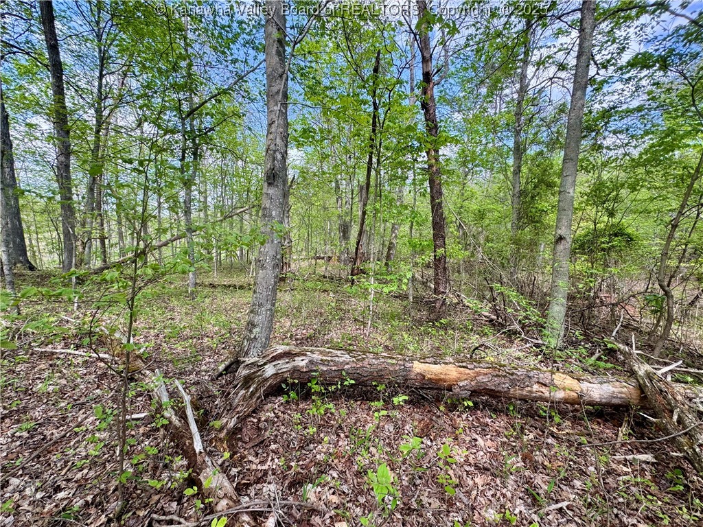 0 Sulug Road Leon, WV 25123 - Photo 10 of 18 Gallery Image 10