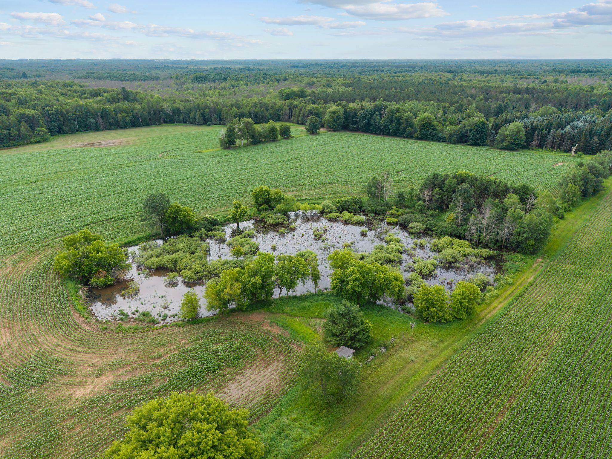 W5999 County Rd T Shawano, WI 54166 - Photo 7 of 38