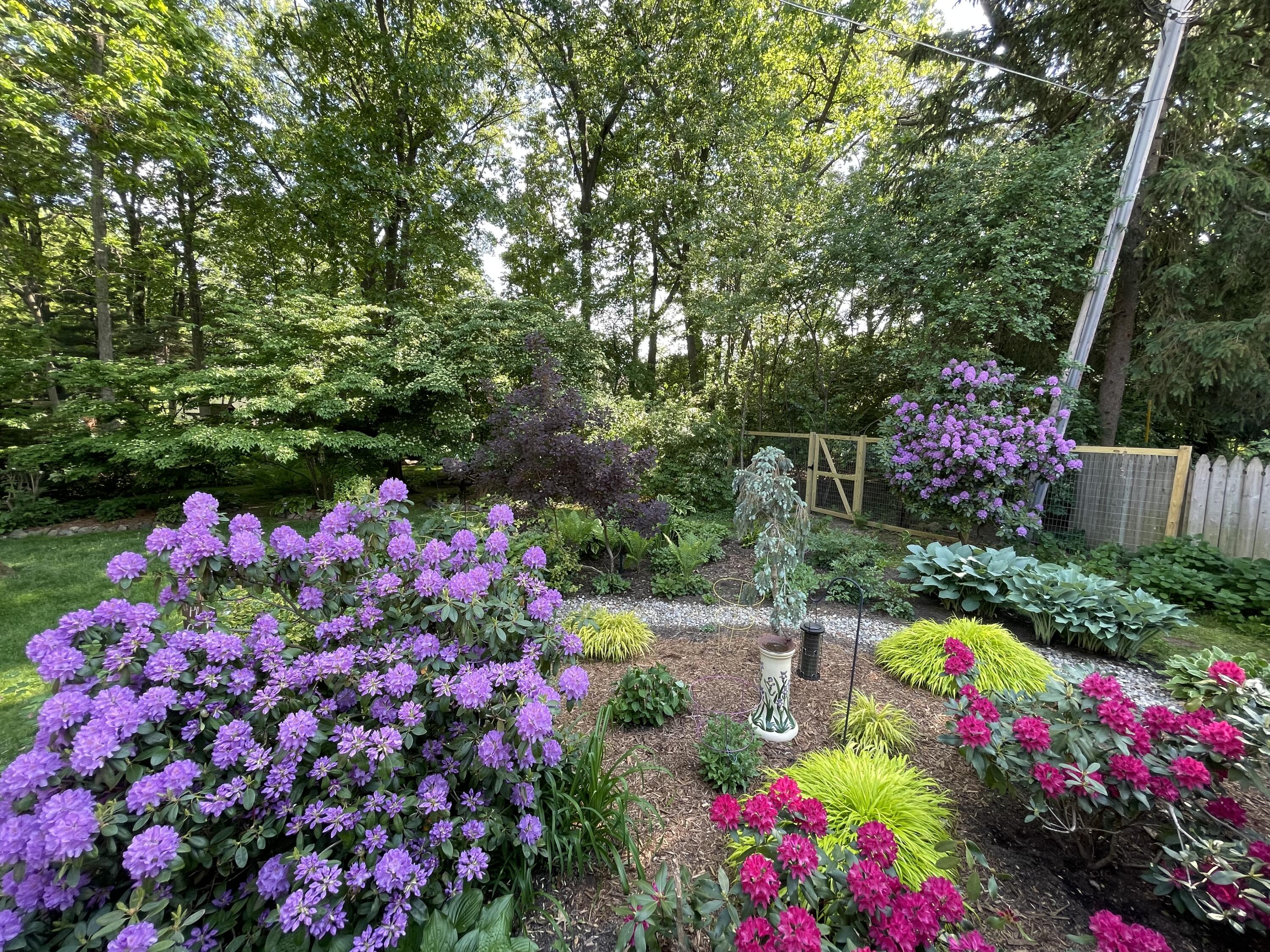 909 Briarcliff Road Jackson, MI 49203 - Photo 41 of 51 41