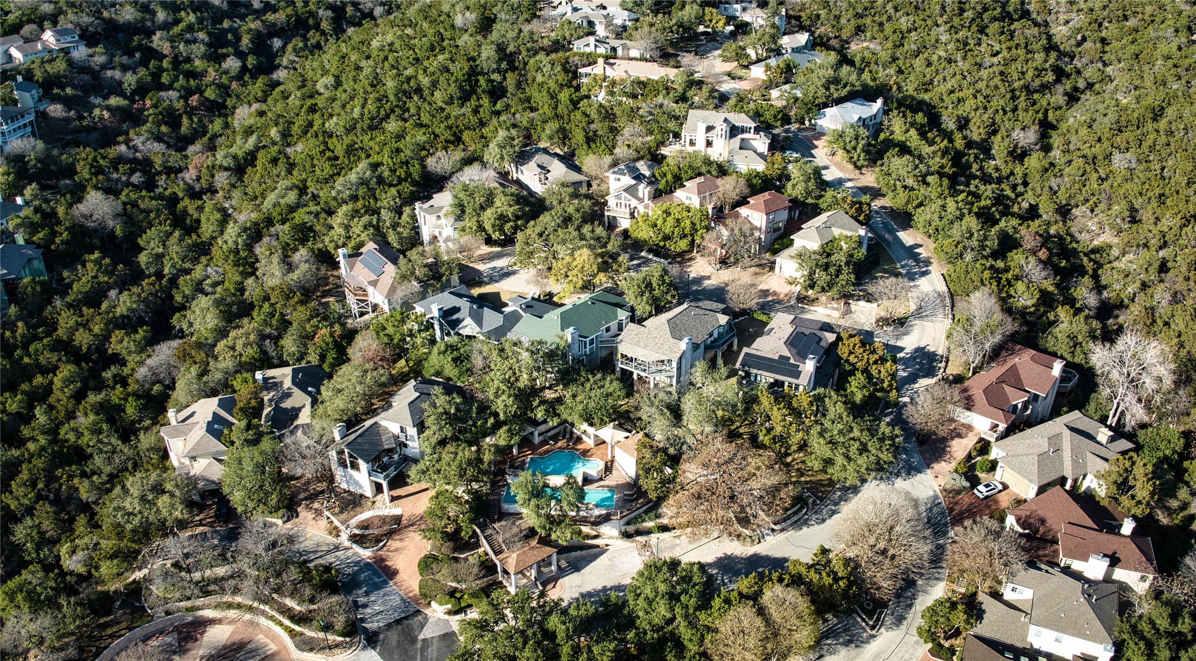 4906 Bob Cat Run Austin, TX 78731 - Photo 33 of 40 a view of a tree