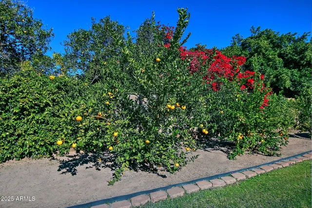 $1,075,000 | 1844 East Leland Circle, Mesa, AZ 85203