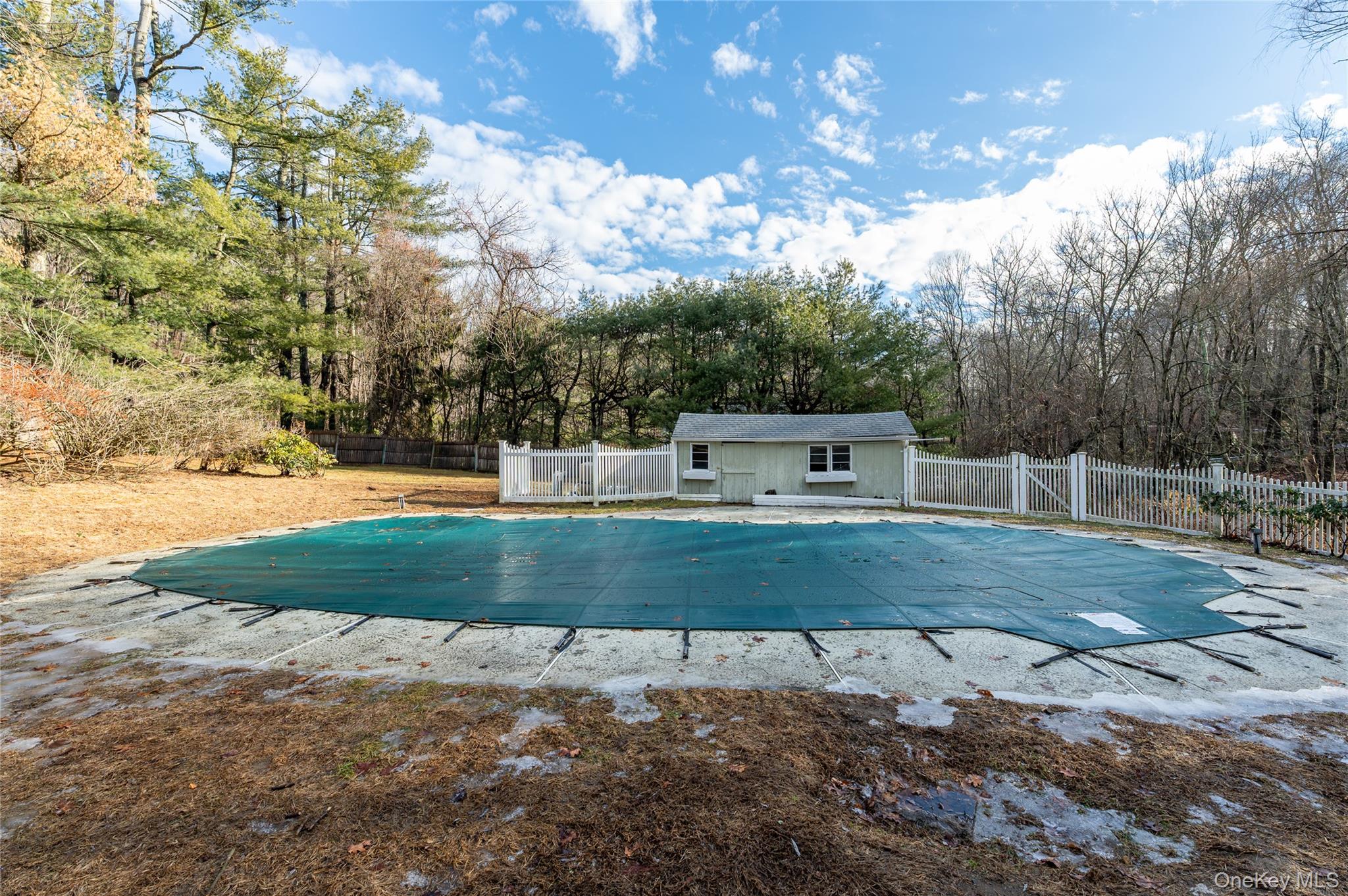 58 Millbrook Road Bedford, NY 10506 - Photo 36 of 41 a view of a park with large trees