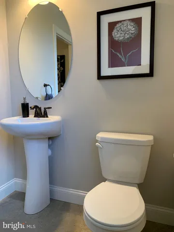 a potted plant sitting on top of a shelf
