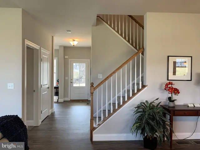 a hallway with wooden floor stairs and a potted plant