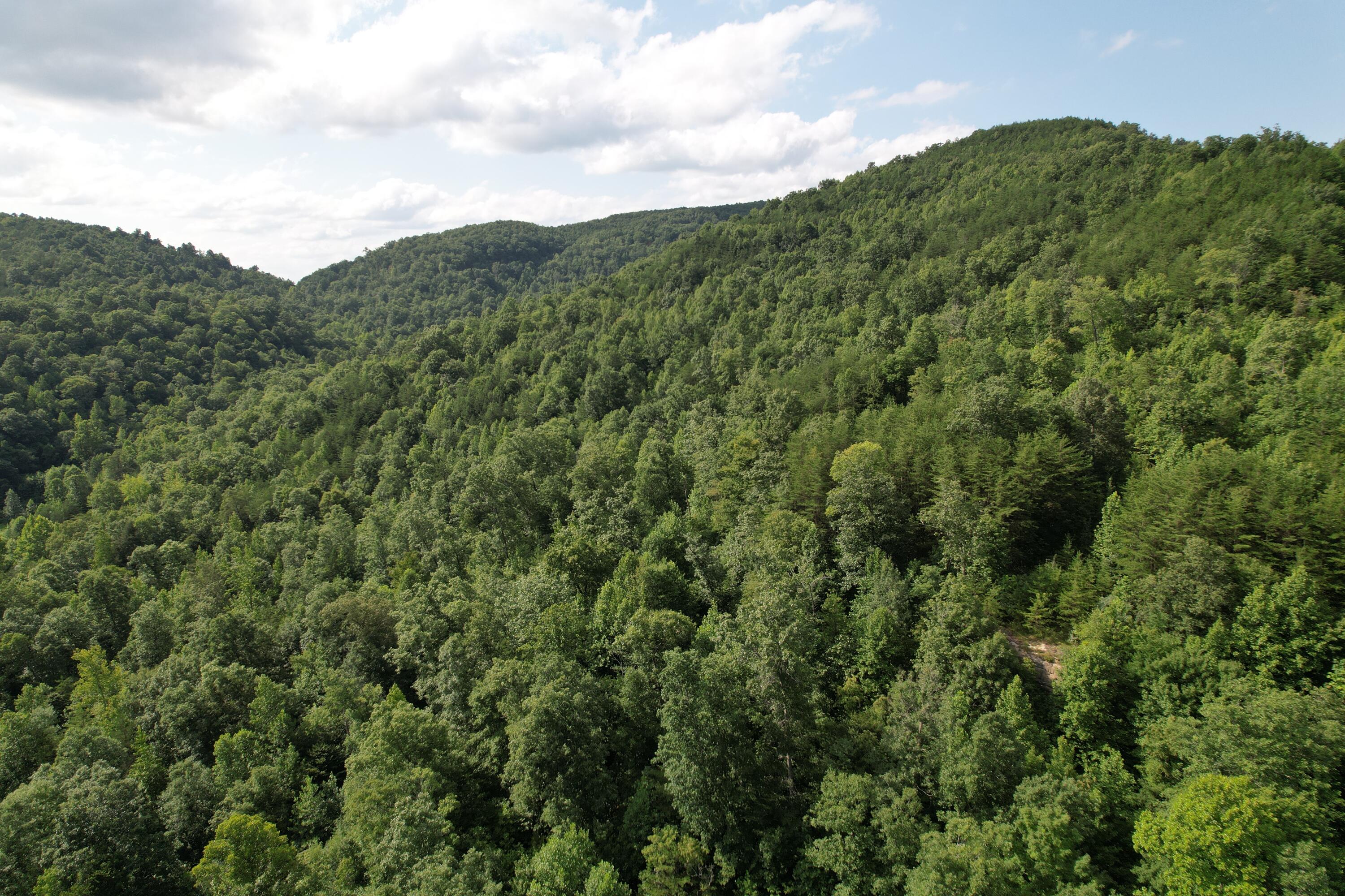 0 Little Rock Creek Road Strunk, KY 42649 - Photo 18 of 29 DJI_0610
