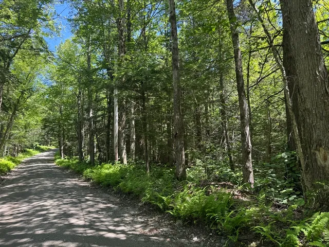 a view of outdoor space and green space