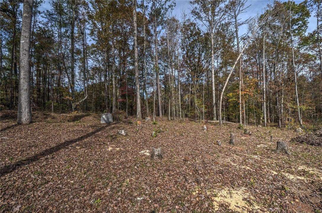237 Lee Road Salem, AL 36874 - Photo 6 of 27 Gallery Image 6