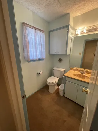 a bathroom with a toilet a sink and a mirror