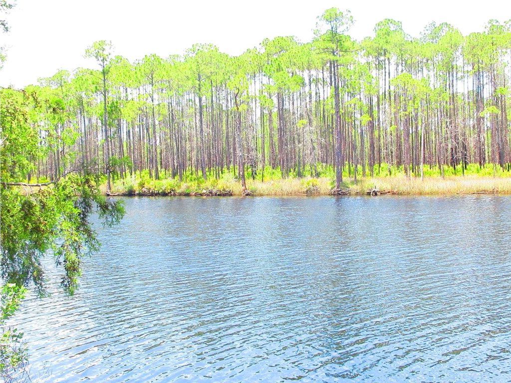 951 New River Harbor Road Carrabelle, FL 32322 - Photo 3 of 5 Gallery Image 3