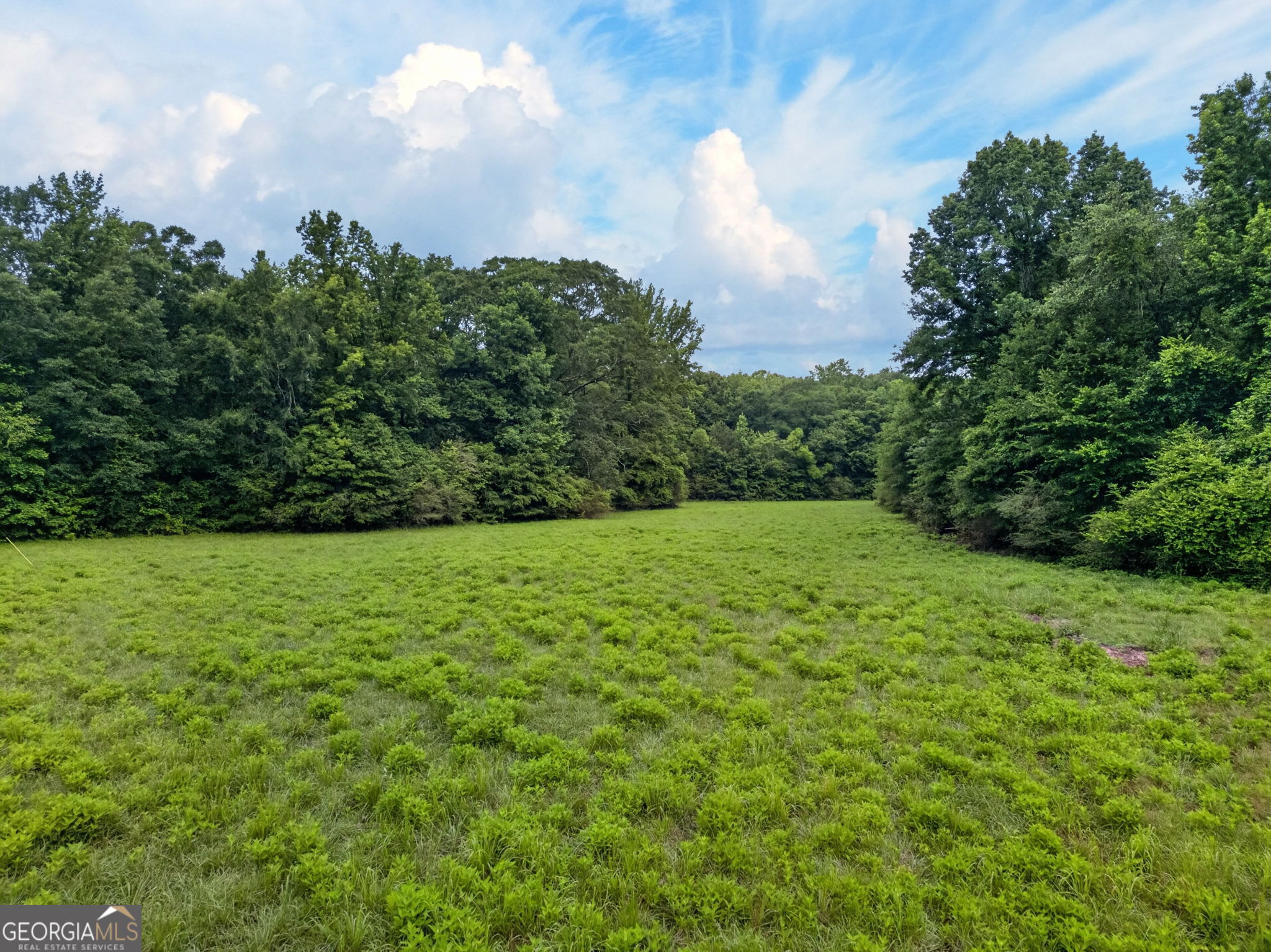215 Boone Road Newnan, GA 30263 - Photo 51 of 67