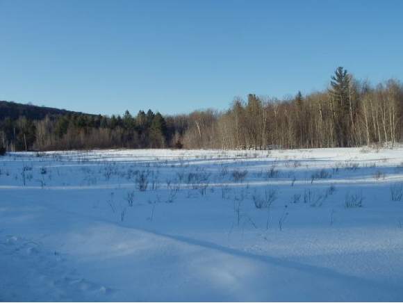 0 Warren Rd Sa, Unit 1 Roxbury, VT 05669 - Photo 1 of 1