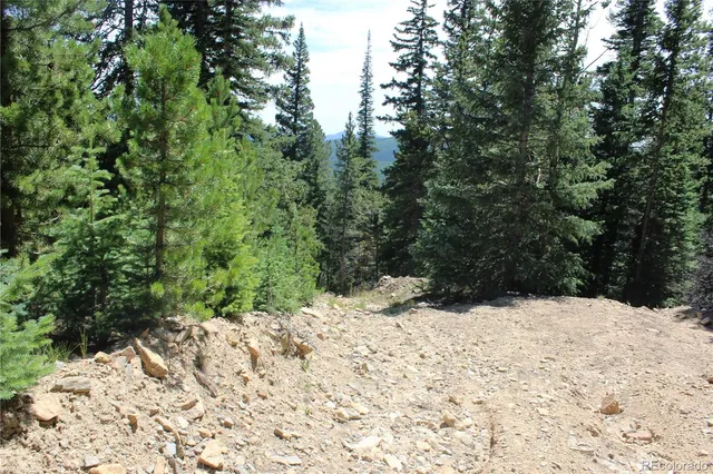 a view of a snow in the yard