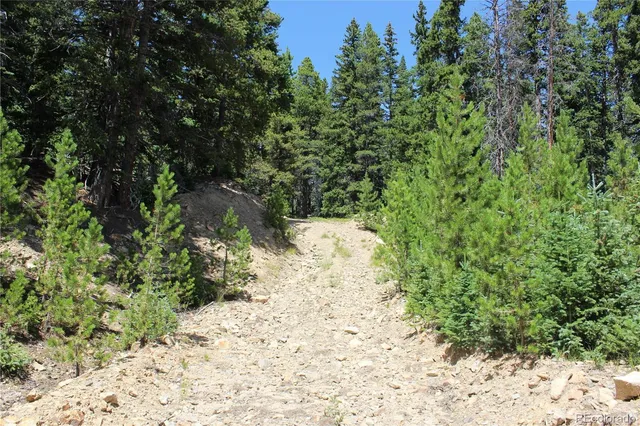a view of a yard covered with trees