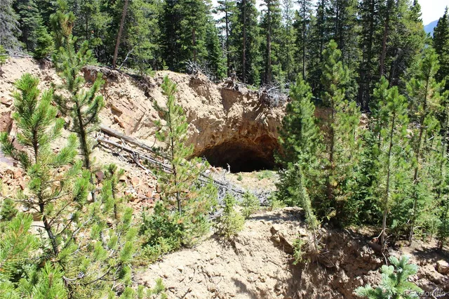 a view of a yard with plants and wooden fence