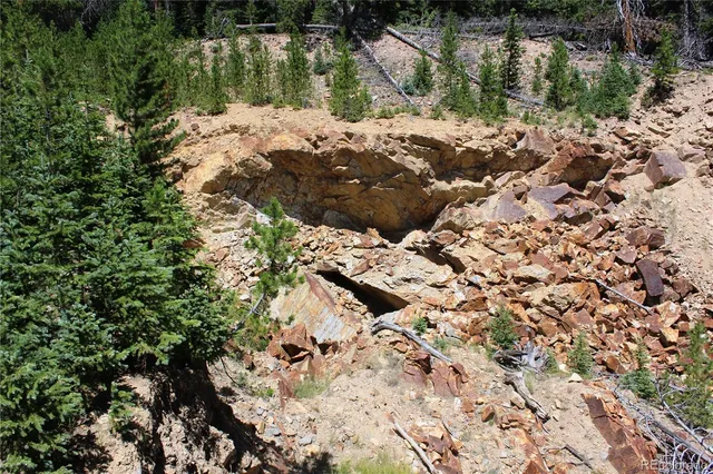 a view of a yard with plants