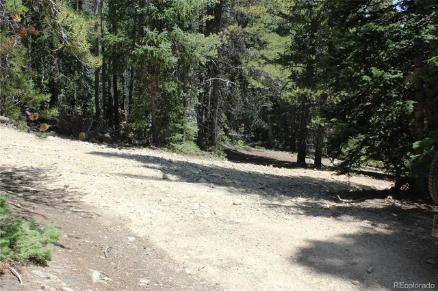 a view of a yard with snow on the road