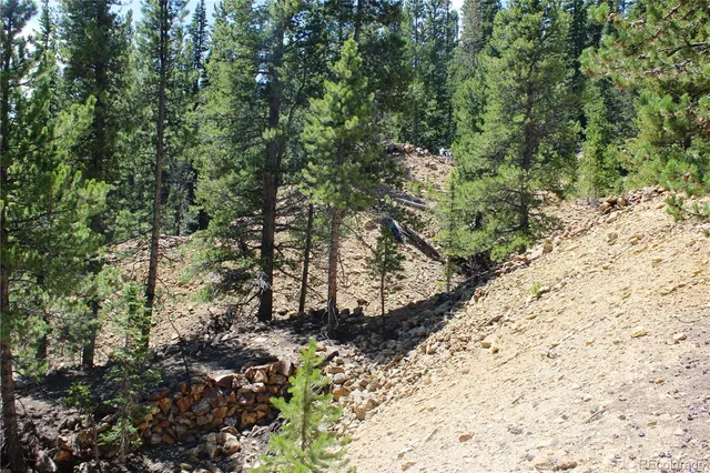 a view of a yard with plants and trees