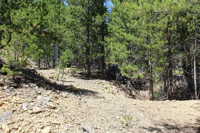 a view of a yard covered in snow