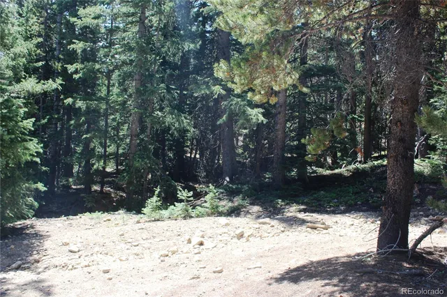 a view of a yard covered in snow