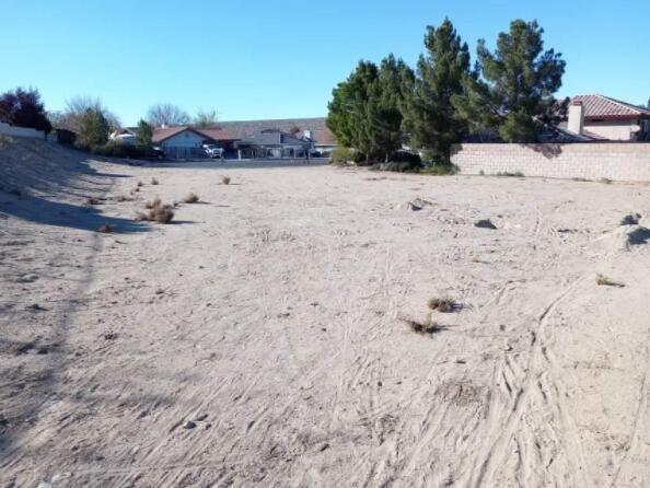 Windjammer Lane Helendale, CA 92342 - Photo 2 of 14 a view of a dry yard covered with snow