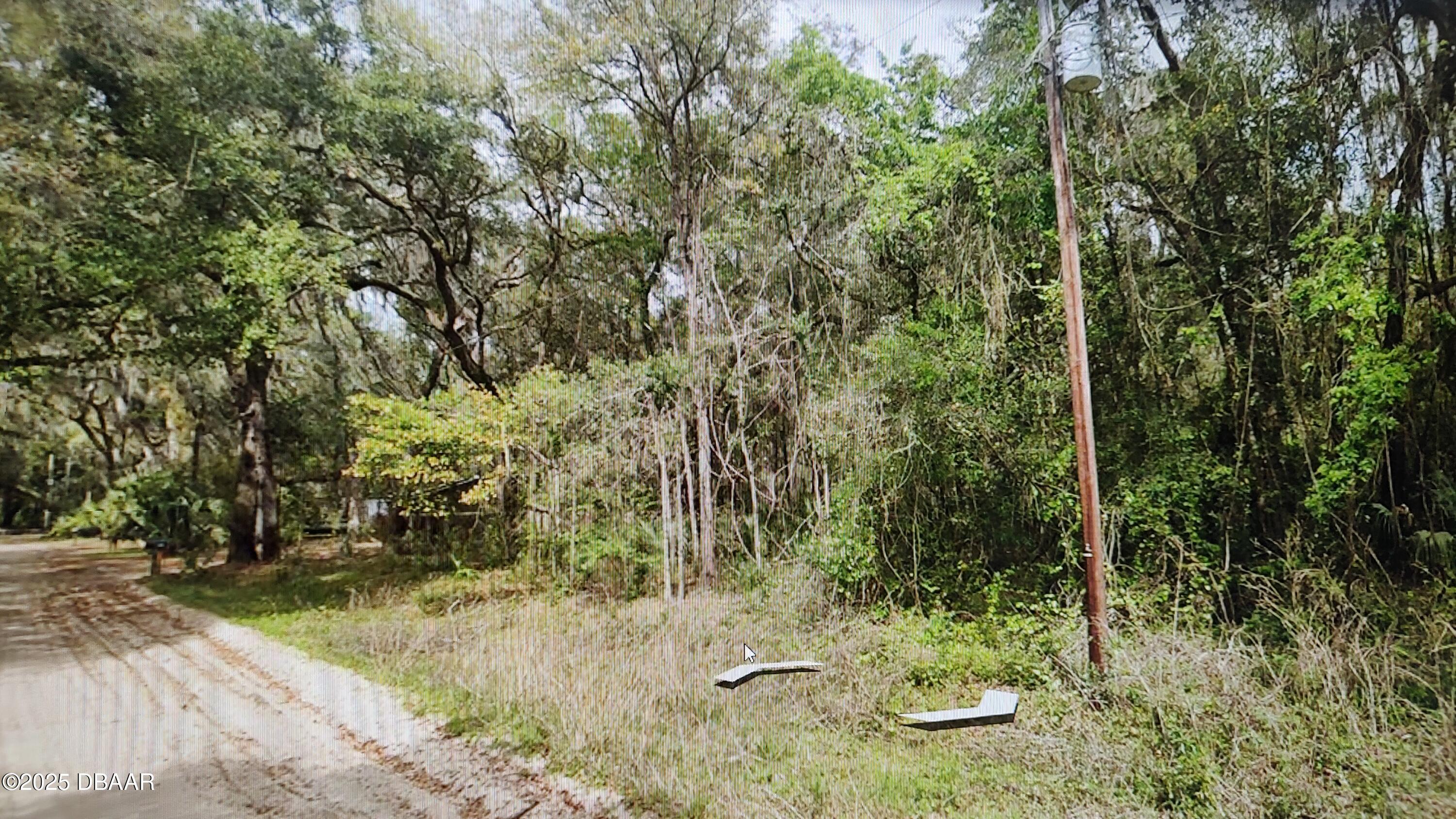 0 Clifford Street Interlachen, FL 32148 - Photo 2 of 2 a view of a yard with plants and trees