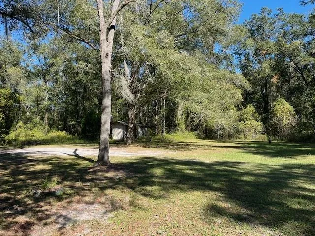 a view of a tree in the middle of a yard