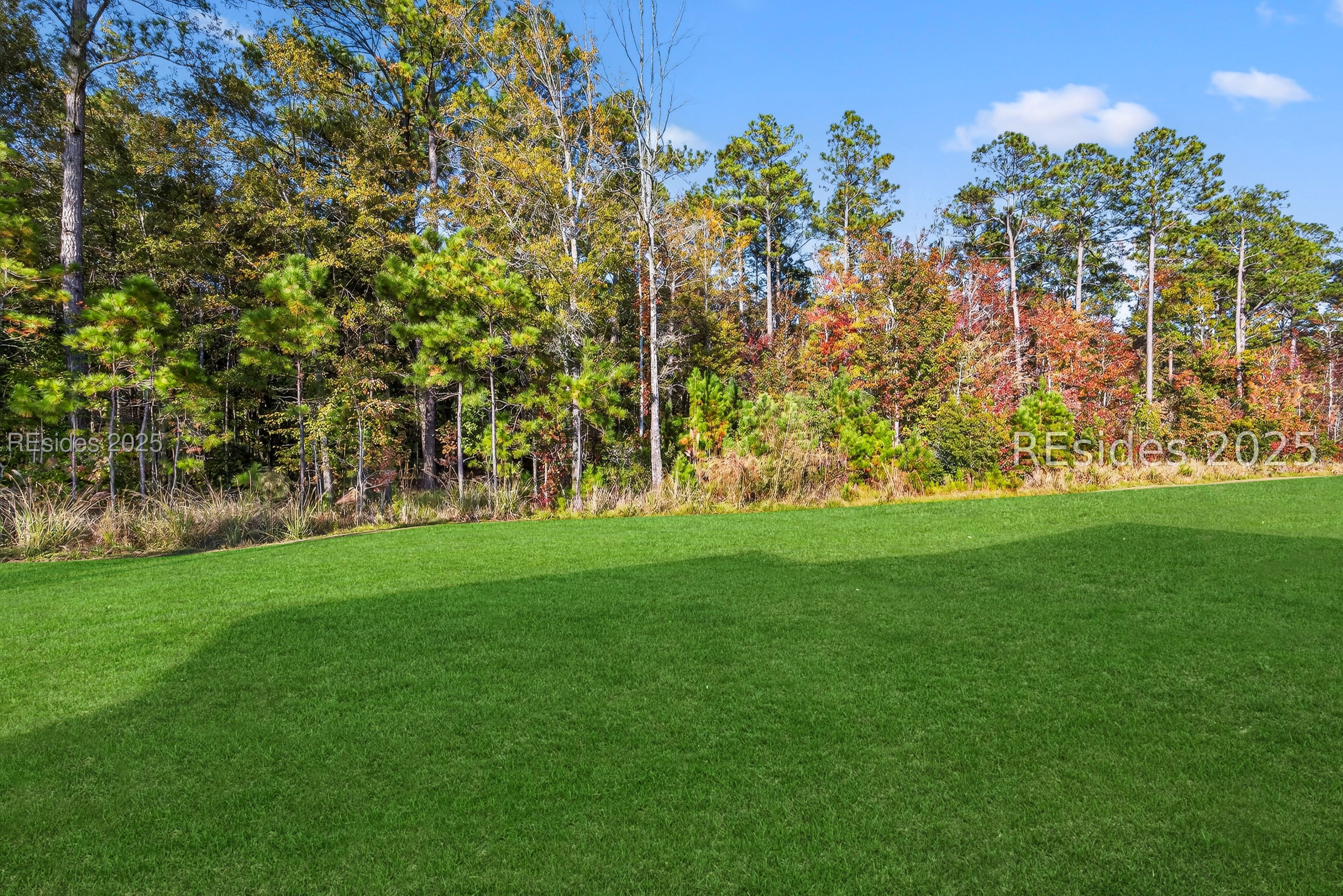 283 Good Life Way Hardeeville, SC 29927 - Photo 46 of 47 View to Forest Preserve area