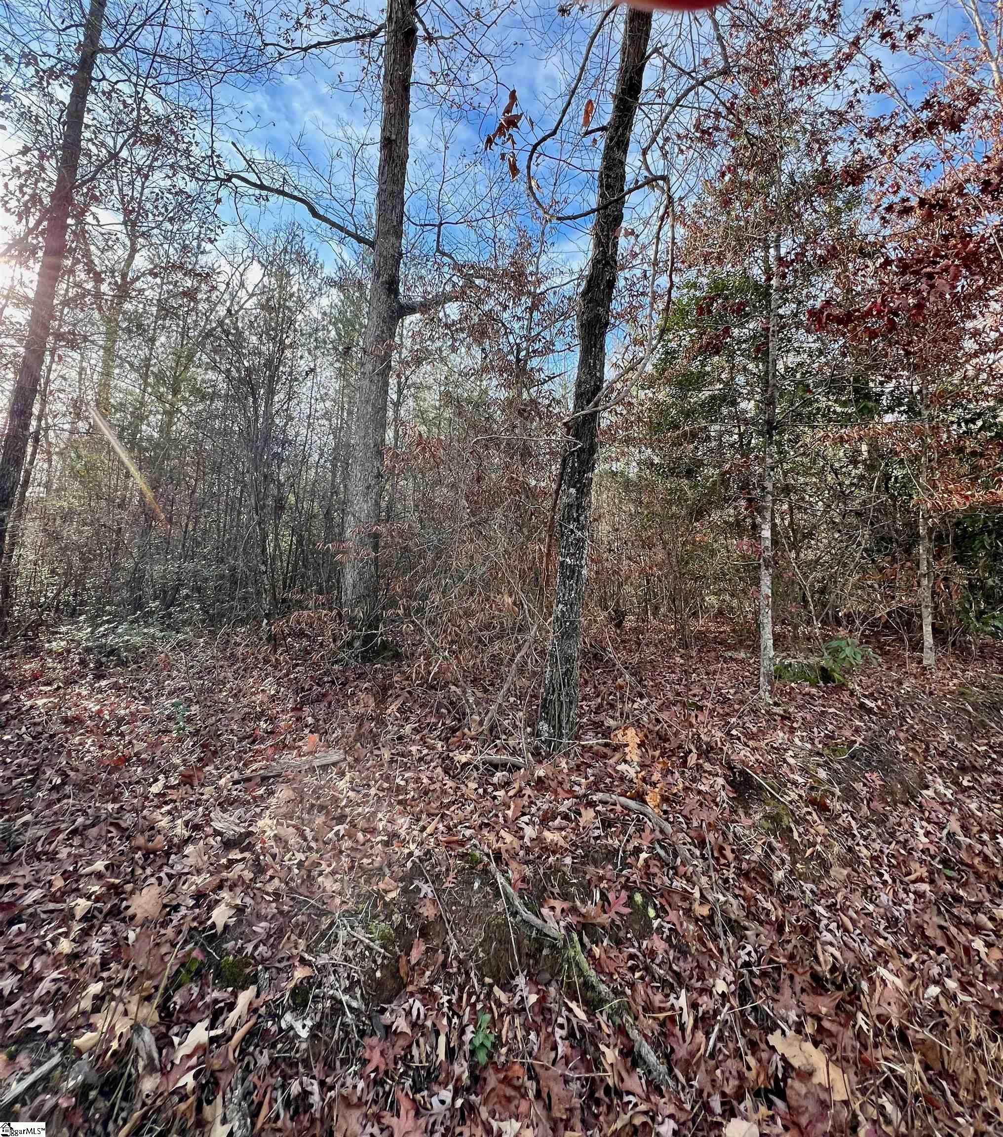 0 Hamilton Road, Unit TRACT 5 Marietta, SC 29661 - Photo 8 of 9
