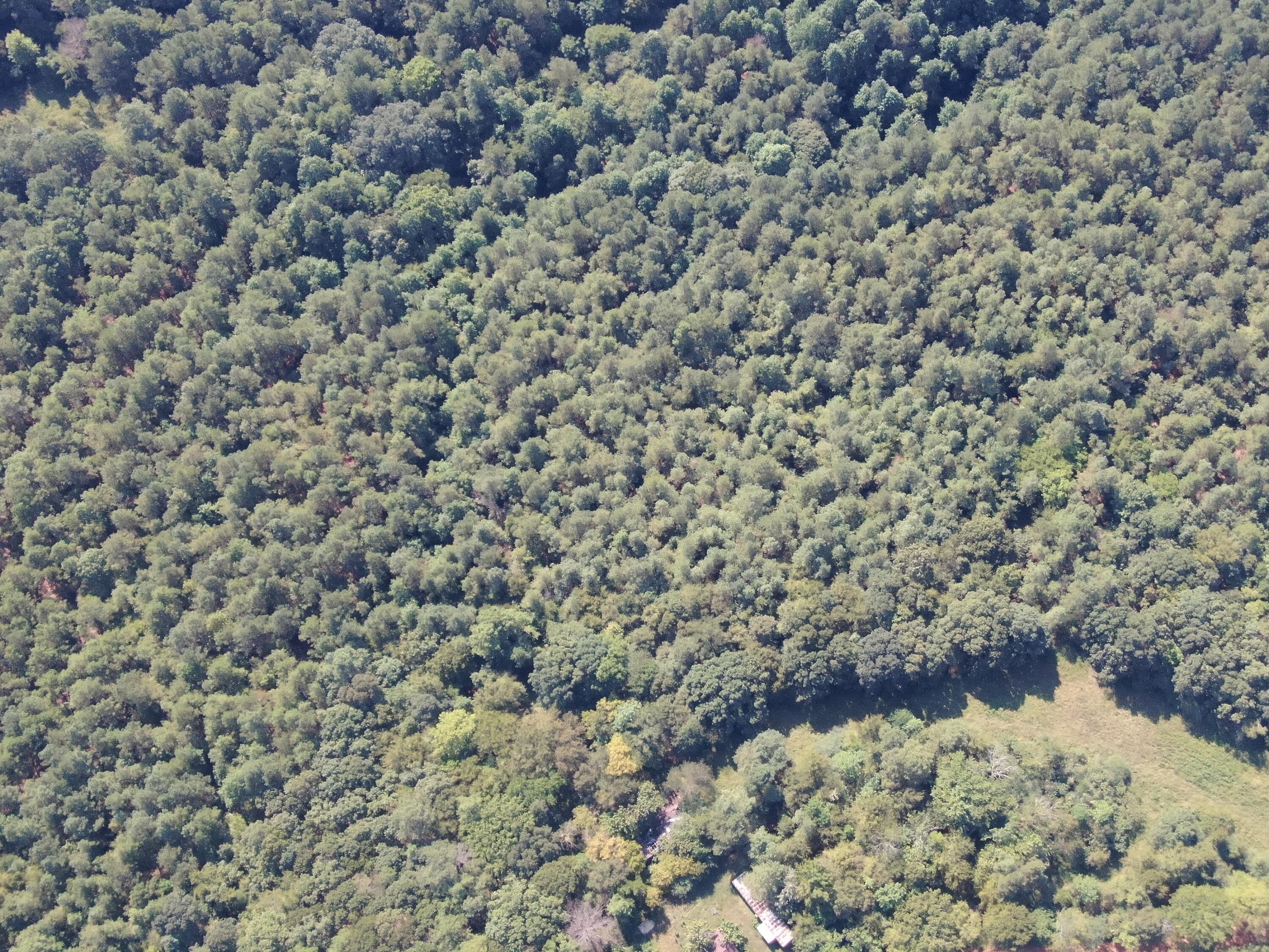 762 Co Road Walnut, MS 38683 - Photo 13 of 41 DJI_0659